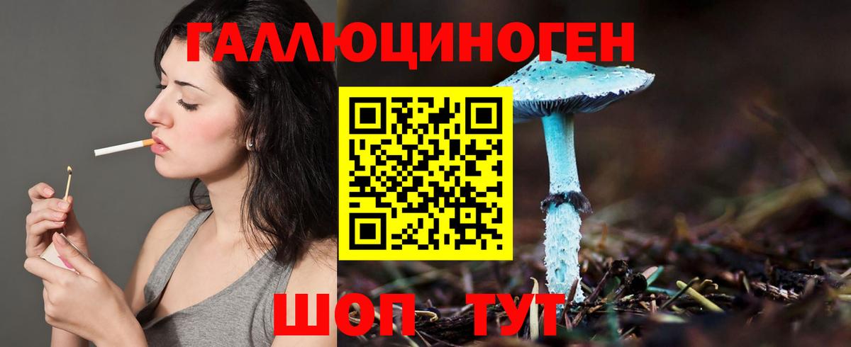 Благовещенск  Галлюциногенные грибы GOLDEN TEACHER  Вход с VPN 